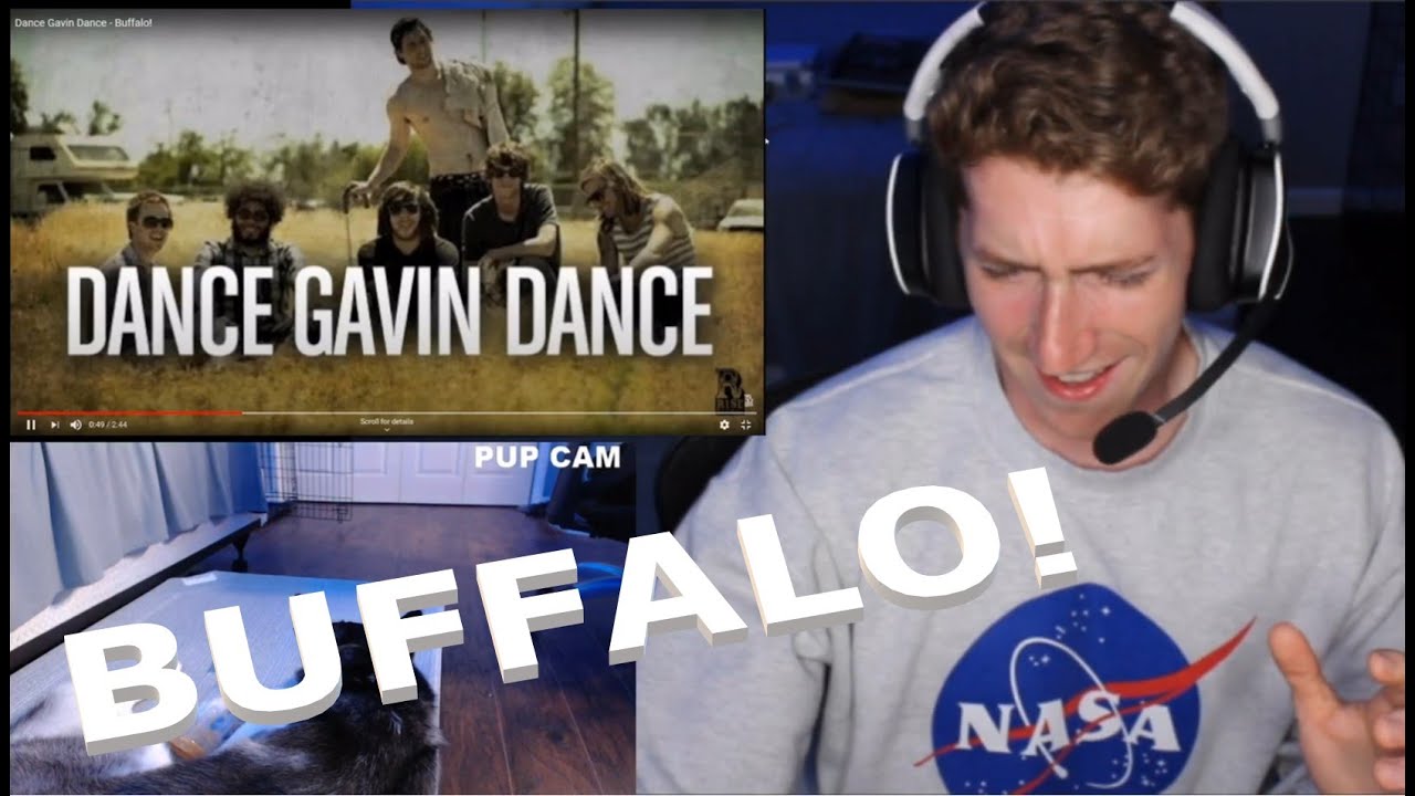 Chris REACTS to Dance Gavin Dance - Buffalo!