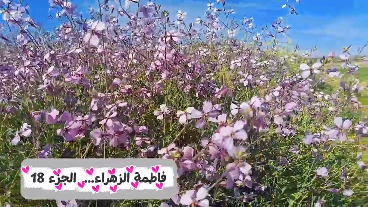 خطيبها الجوندارم خلاها حامل… ومن بعد قالها: “روحي شوفي مع شكون درتيه!” 😱 النهاية صدمت الجميع