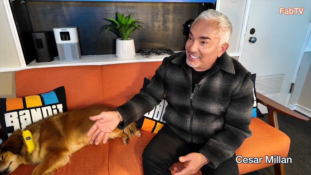 Cesar Millan 