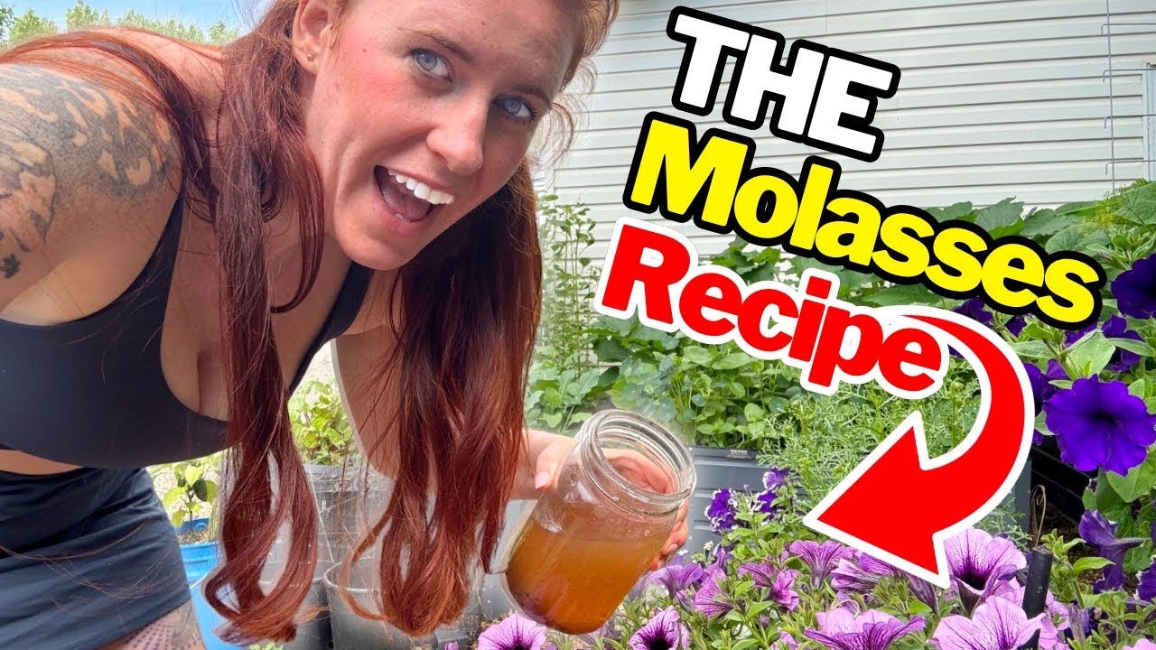 Why Gardeners Are Adding Molasses to EVERYTHING!