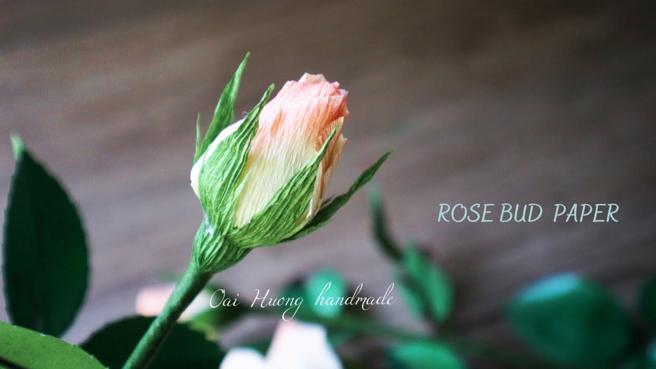 Hướng dẫn làm nụ hoa hồng bằng giấy nhún /oaihuong handmade