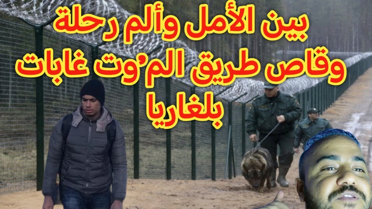 قصة مهاجر وقاص طريق الم'وت غابات بلغاريا بين الأمل وألم رحلة إلى أوروبا#العراق#اكسبلور#قصص#تيك_توك