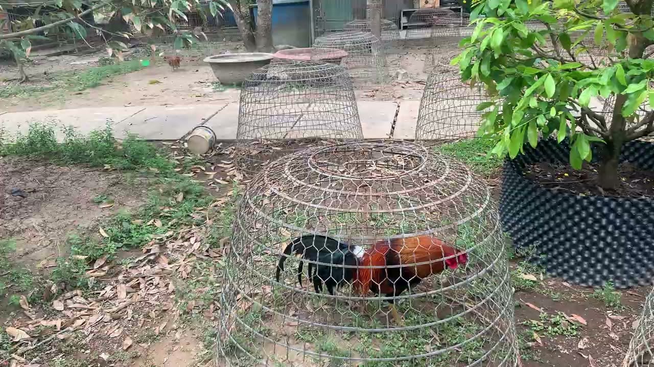 26/2 Ae tham thảo 0913700712