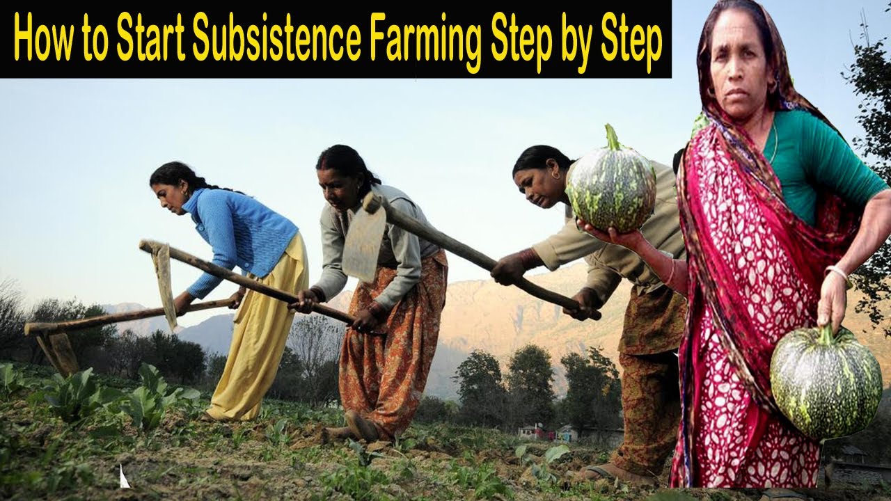 Subsistence Farming Step by Step - How to Start Subsistence Agriculture Very Easily - Mixed Farming