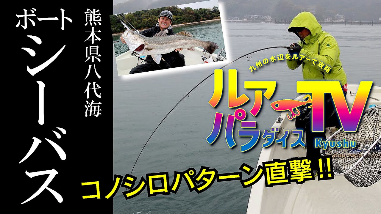 熊本県八代海のボートシーバスゲーム！　コノシロパターンで大型直撃【ルアーパラダイス九州TV】