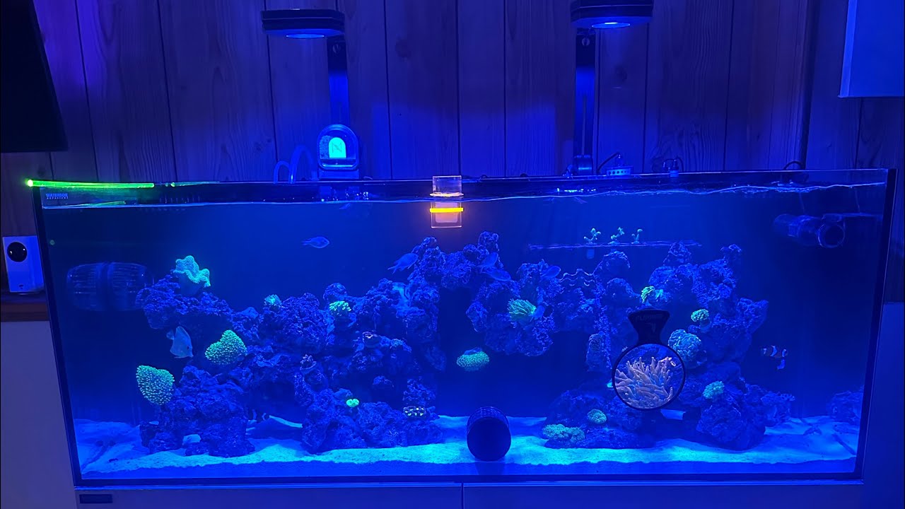 ЧАСТЬ 1 | Моя новая система WaterBox 65.4 