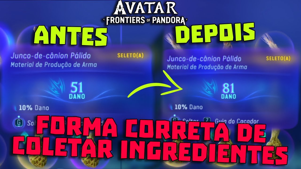 Guia final para coletar com Dano/Vida no MAXIMO e ficar forte no Avatar Frontiers of Pandora! Dicas