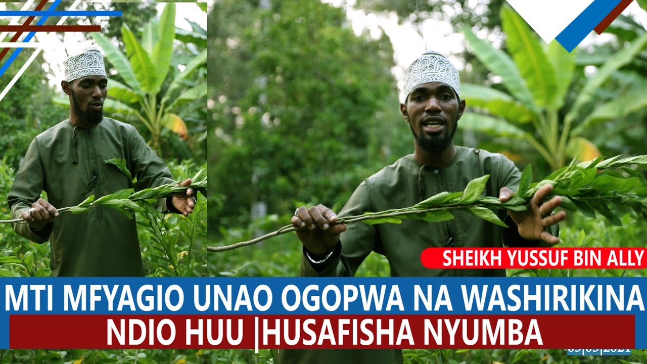 UJUE MTI WA MFYAGIO UNAO OGOPWA NA WACHAWI |MFYAGIA UWANJA |SHEIKH YUSSUF BIN ALLY