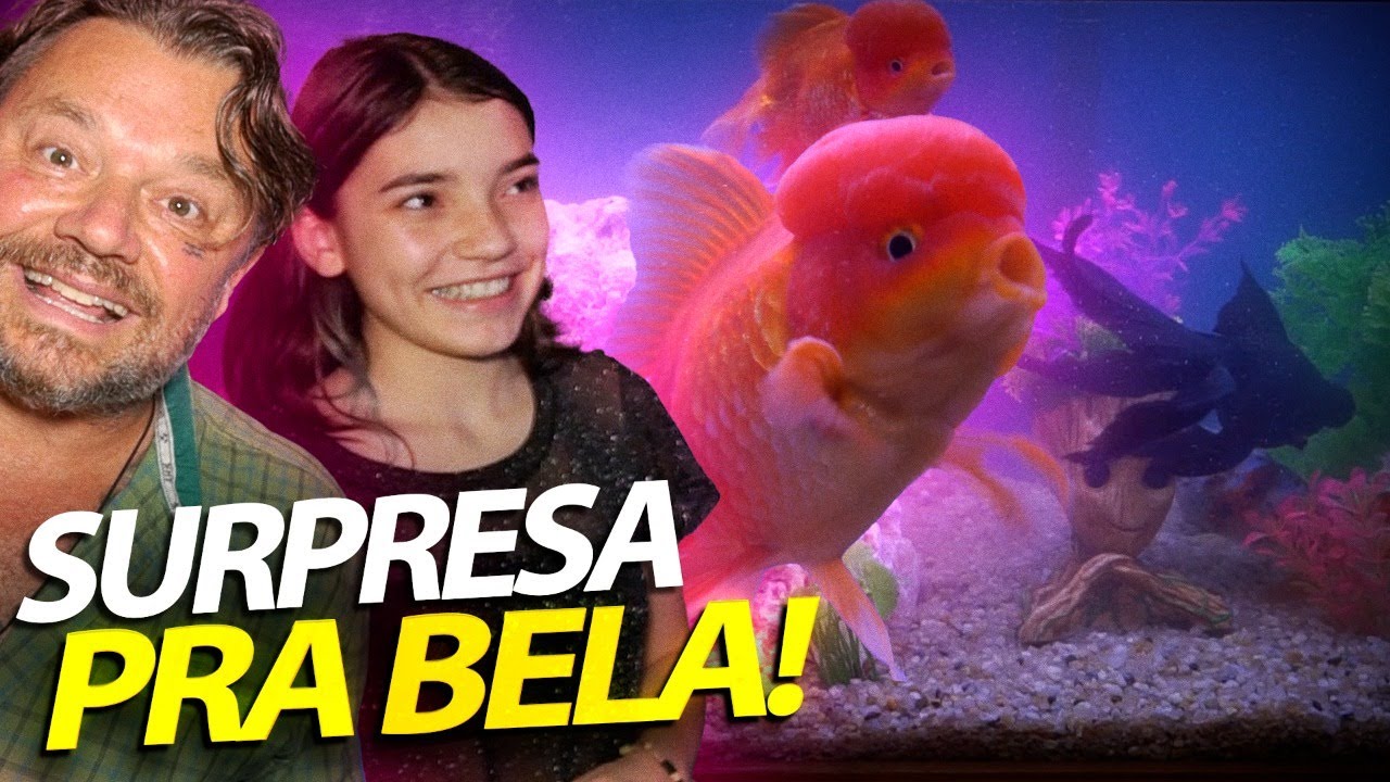 TEMOS UM NOVO AQUÁRIO EM CASA! | A CASA DOS BICHOS