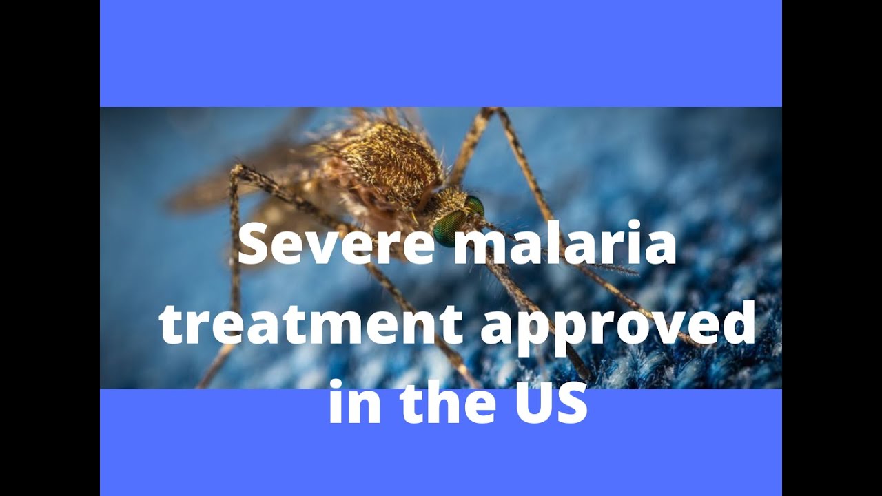 Severe malaria treatment receives FDA approval