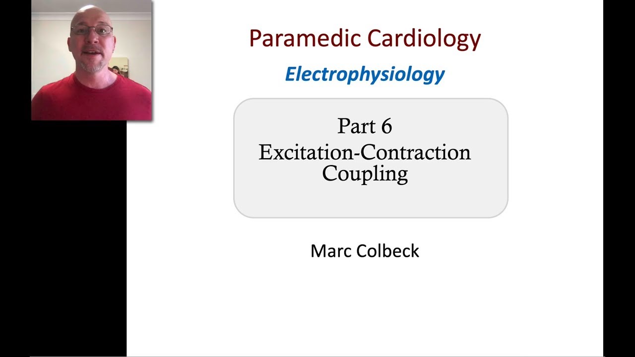 Cardiovascular Electrophysiology 6 - Excitation Contraction Coupling