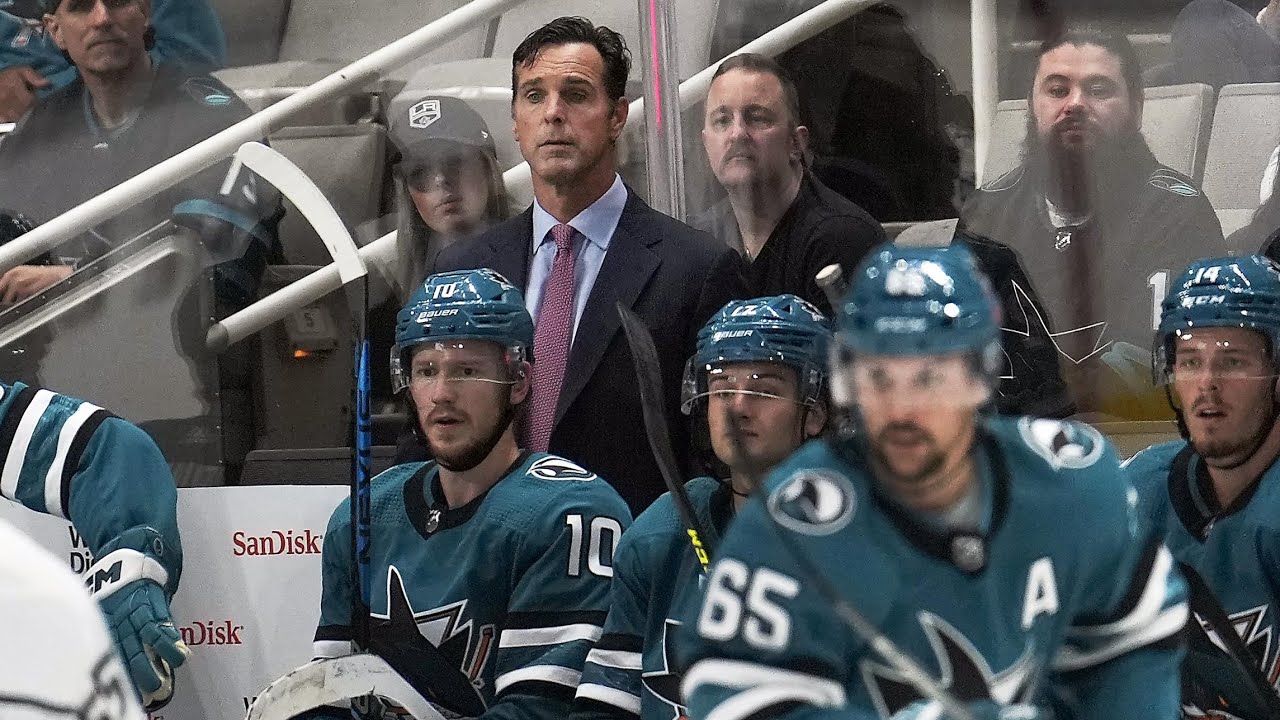 David Quinn: "nobody feels sorry" for Sharks after 0-4 start