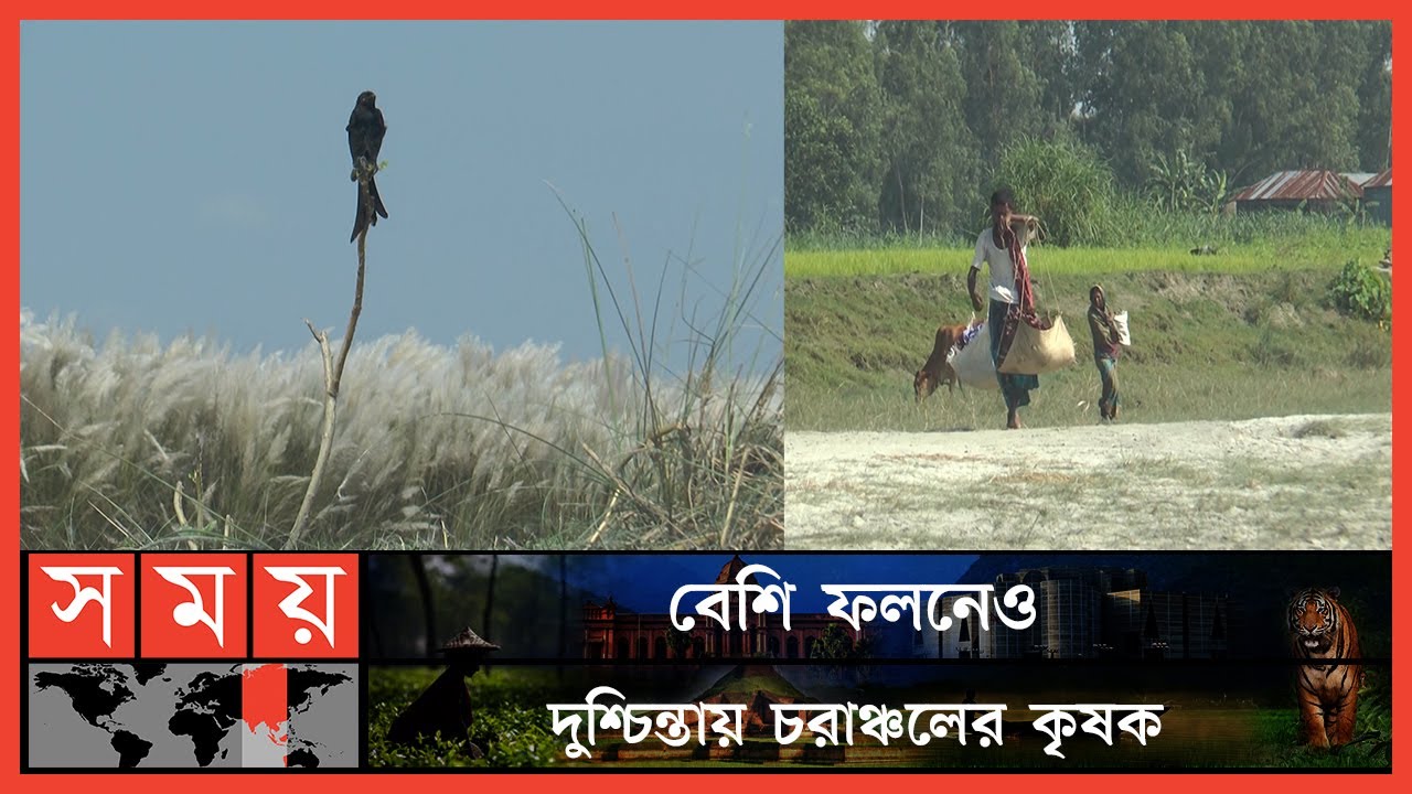 কে করবেন গাইবান্ধার চরাঞ্চলের মানুষের জীবনমানের উন্নয়ন? | Farmers | Gaibandha | Somoy TV