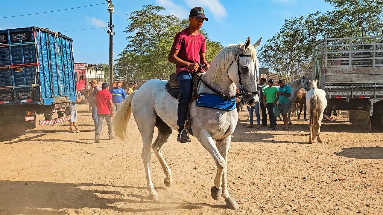 FEIRA DE CAVALOS DE CARUARU PE, PREIMEIRA FEIRA DE 2025, TERÇA FEIRA, (07/01/25) #nordeste