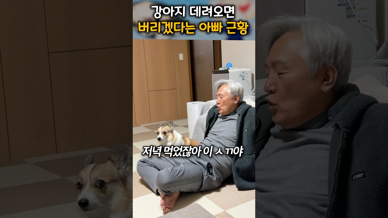 아빠들은 다 똑같은 듯..