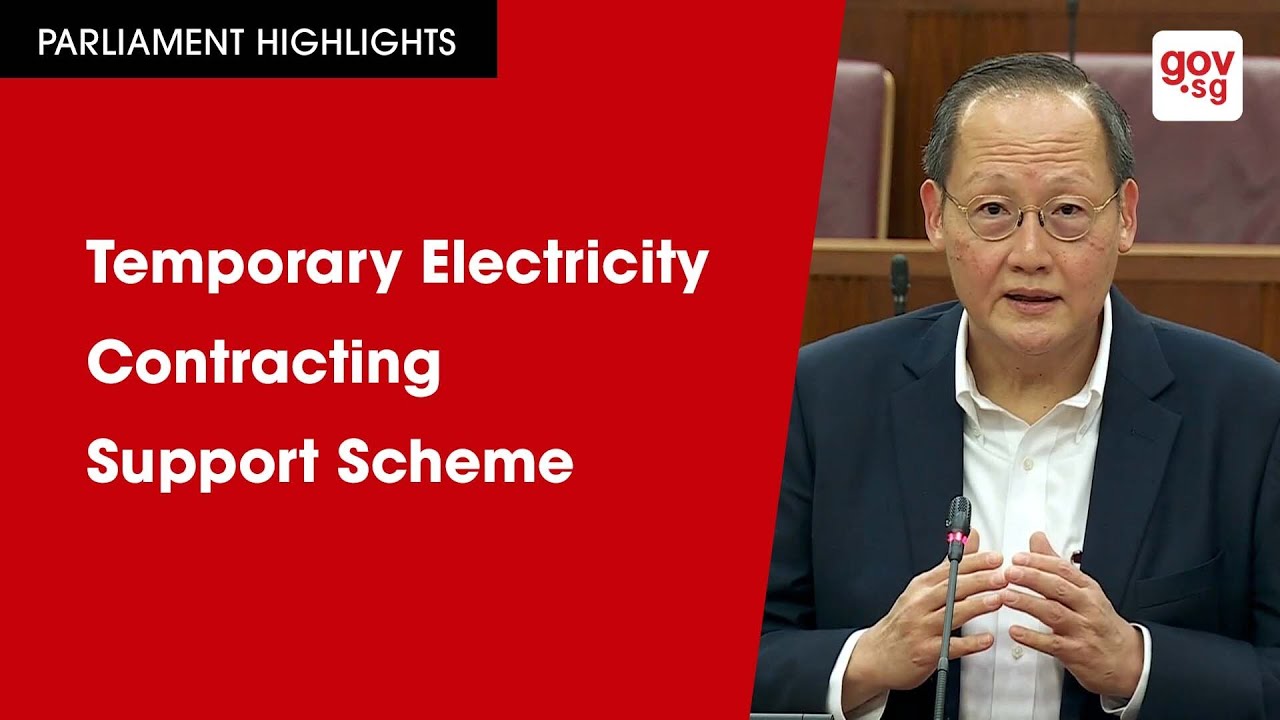 Temporary Electricity Contracting Support Scheme