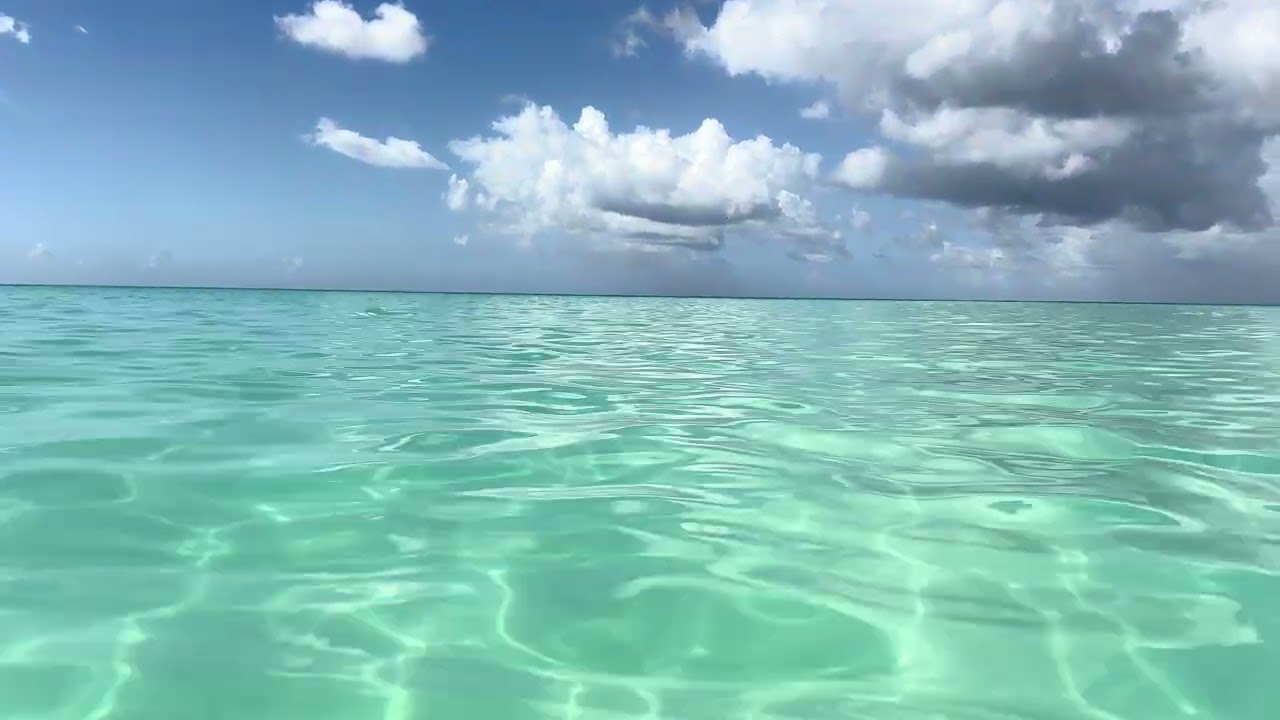 Aruba 🌊 #beach #aruba 