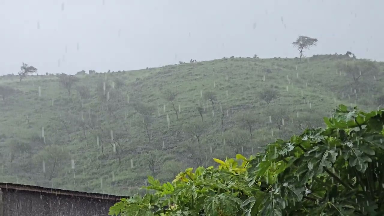 #ደስ የሚል ዝናብ 