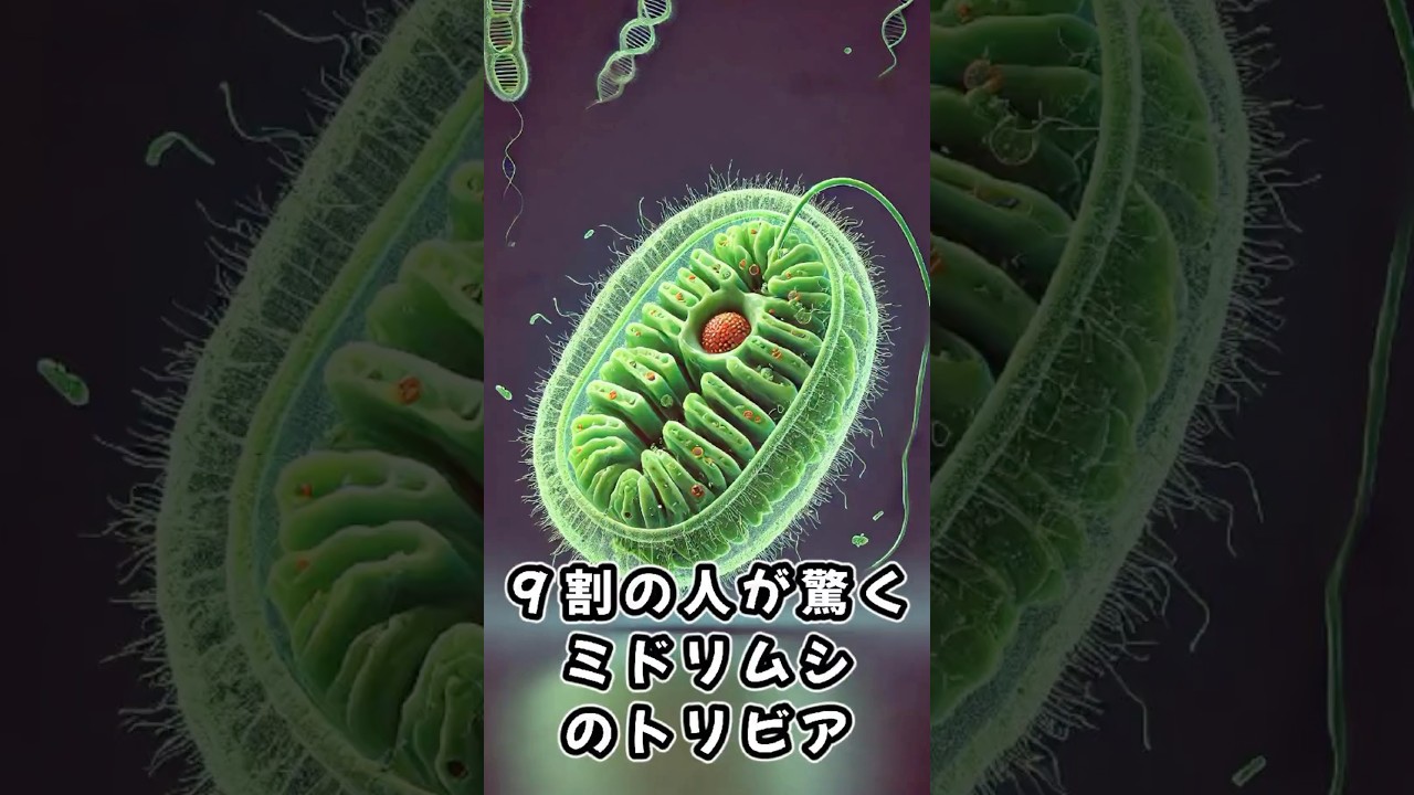 9割の人が驚くミドリムシのトリビア #雑学 #雑学ショート #ミドリムシ