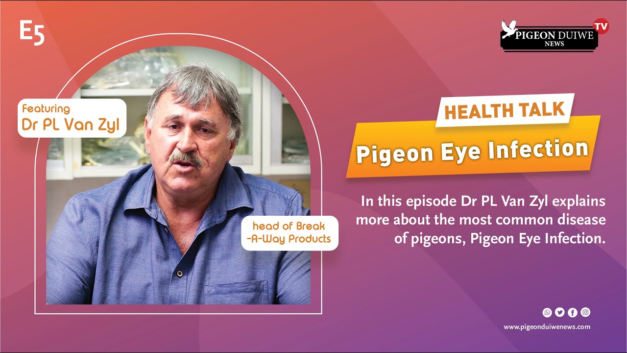 PDN TV | Health Talk With Dr PL Van Zyl | Pigeon Eye Infection