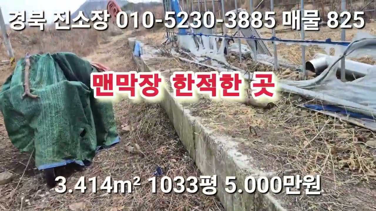 매물 825 # 진소장 부동산 #의성부동산 #군위부동산 #안동부동산 #의성 땅 매매 #군위 땅 매매 