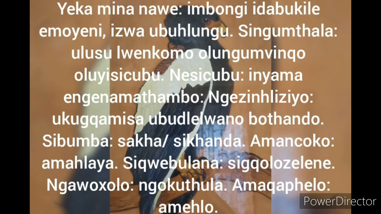 Inkondlo: Okwami Nawe: Ukuchaza amagama akhethiwe.