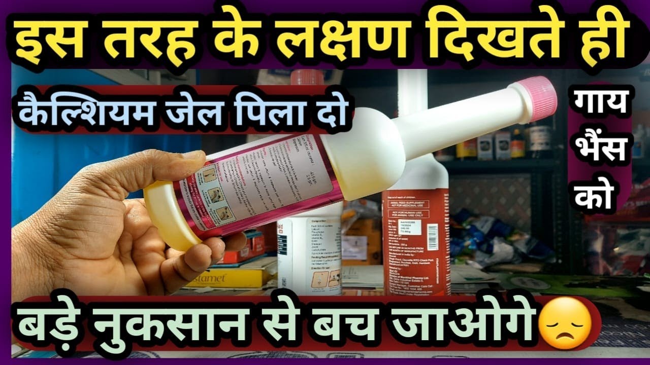 इस तरह के लक्षण दिखते ही गाय भैंस को Calcium gel पिला दो 👉 बड़े नुकसान से बच जाओगे Konsa Calcium