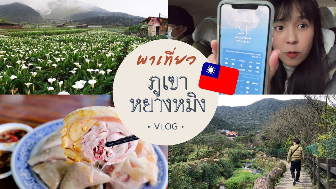 [Vlog] พาเที่ยวภูเขาหยางหมิง 陽明山 หลังเลิกเรียนกับแฟนไต้หวัน