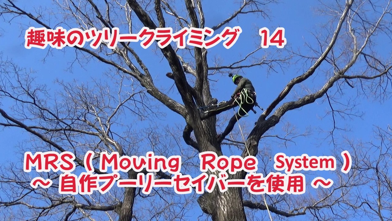 趣味のツリークライミング14     ＭＲＳによる登/降