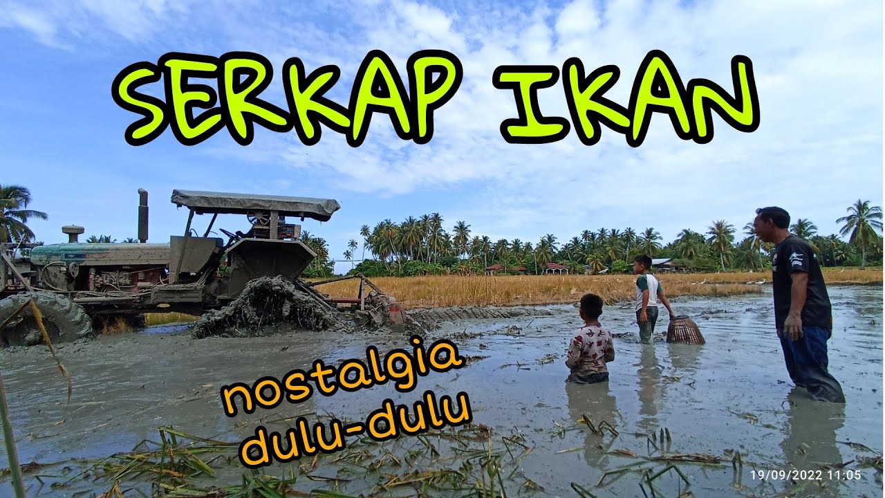 #EP660 Serkap Ikan Belakang Trekta - nostalgia cari ikan di kampung