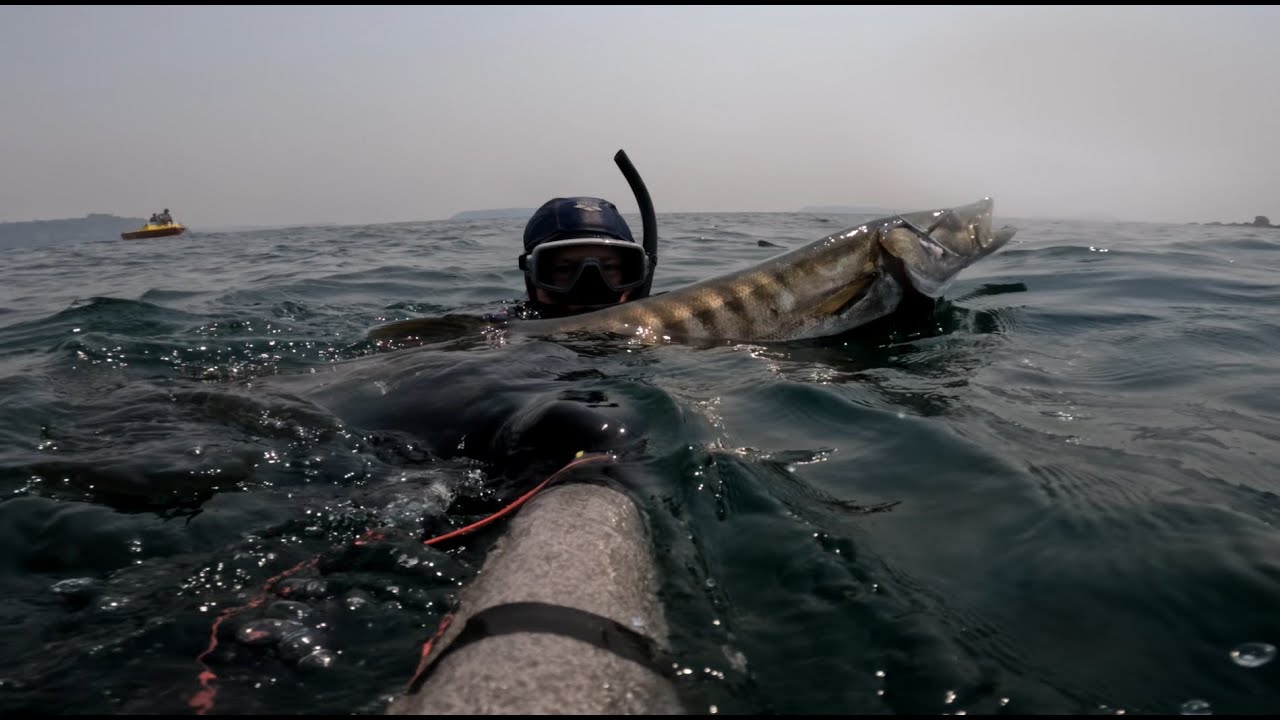 BIG BARRACUDA!!! Spearfishing Goa. Лучшая рыбалка сезона. Подводная охота в Индийском океане.