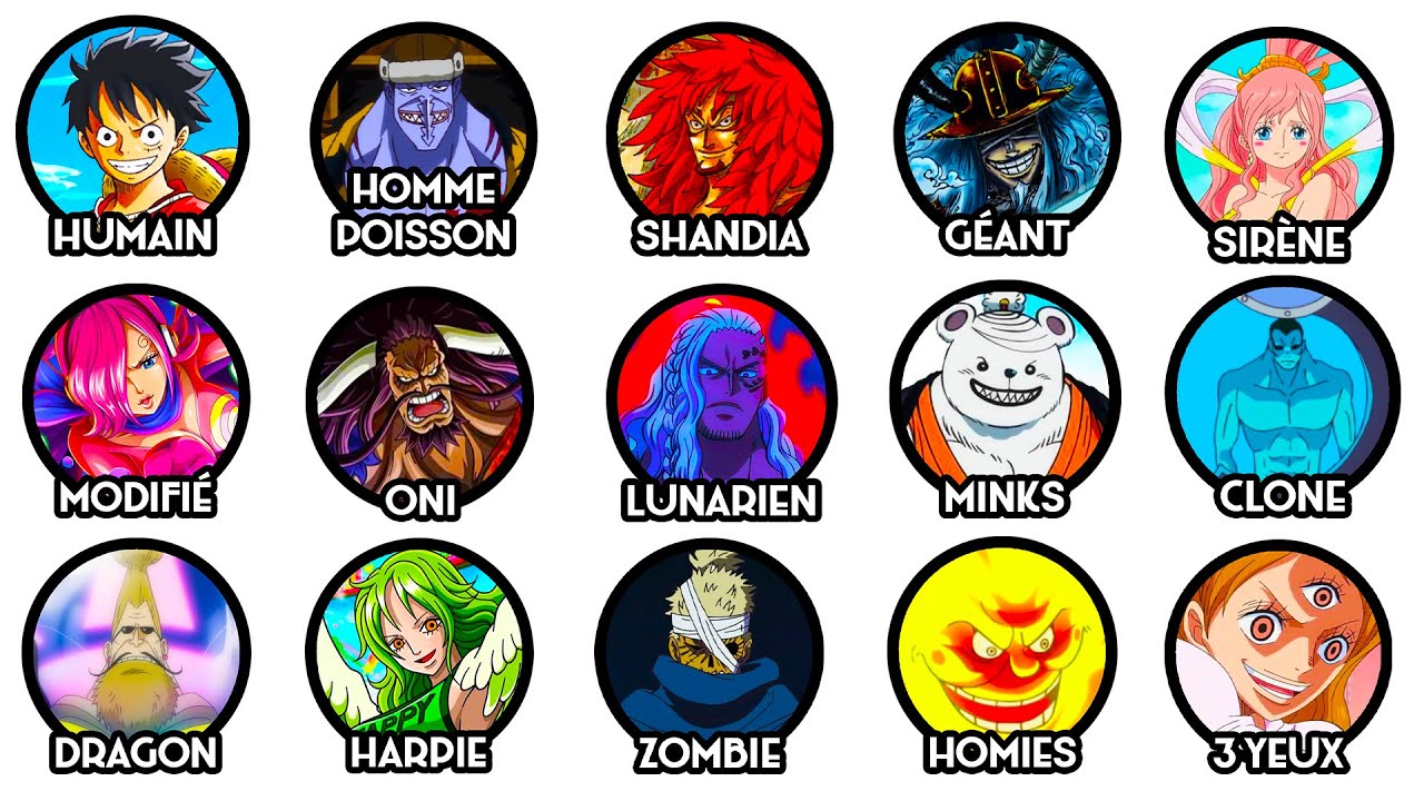 Toutes Les Races De One Piece Expliqué En 24 Minutes