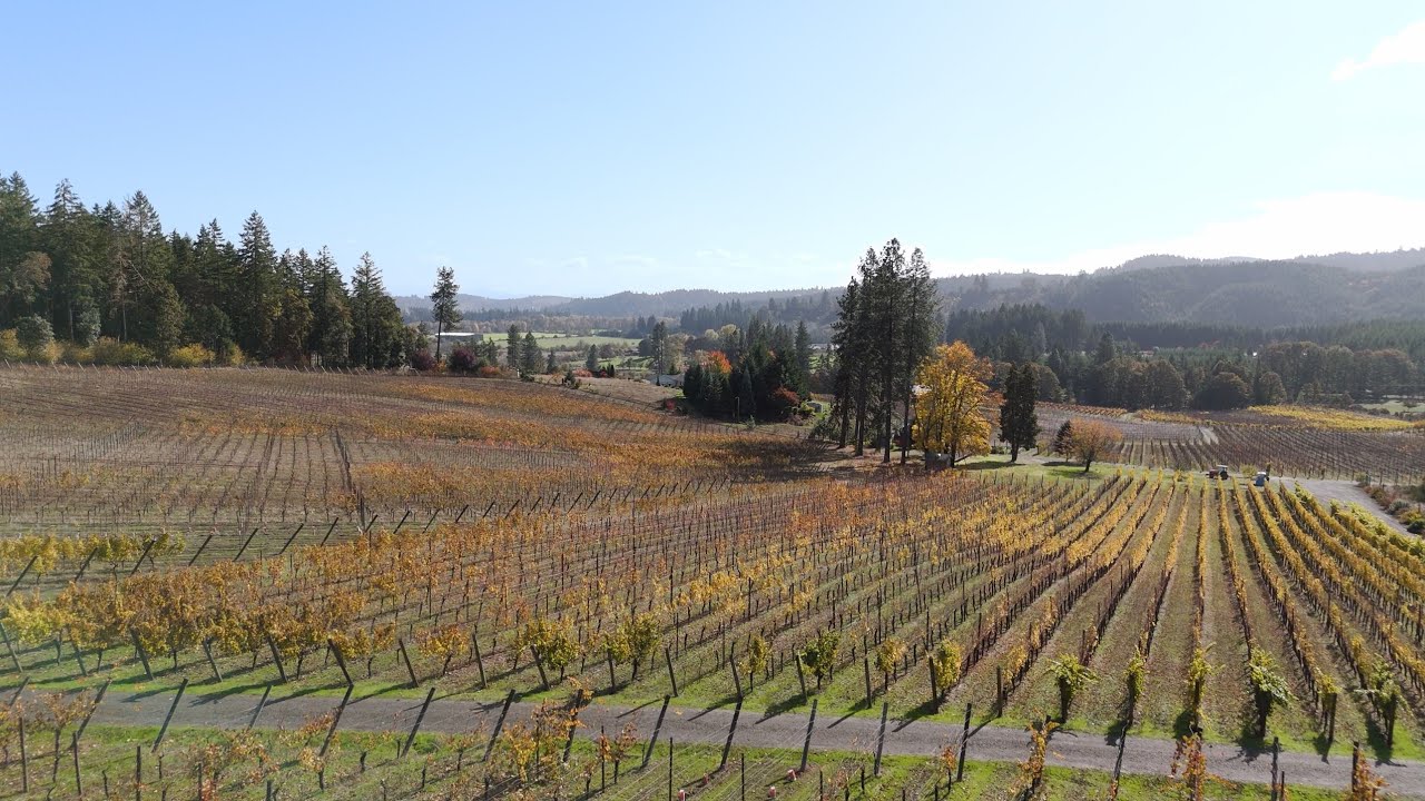 Premium Willamette Valley AVA Vineyard For Sale