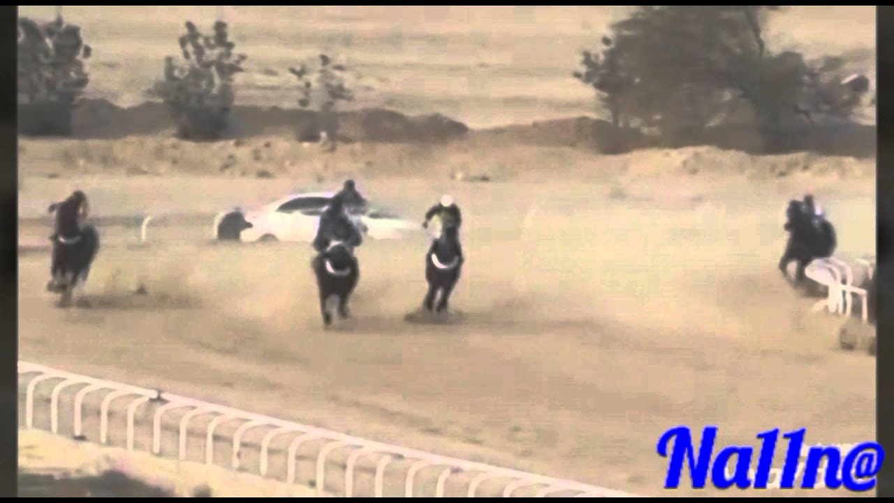 أنتصار البطل المارك في ميدان فروسية الخفجي