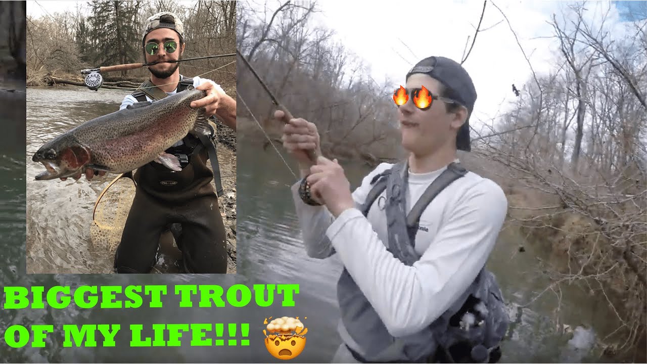 CATCHING THE BIGGEST TROUT I HAVE EVER SEEN!!! Fly Fishing the Delayed Harvest of PA