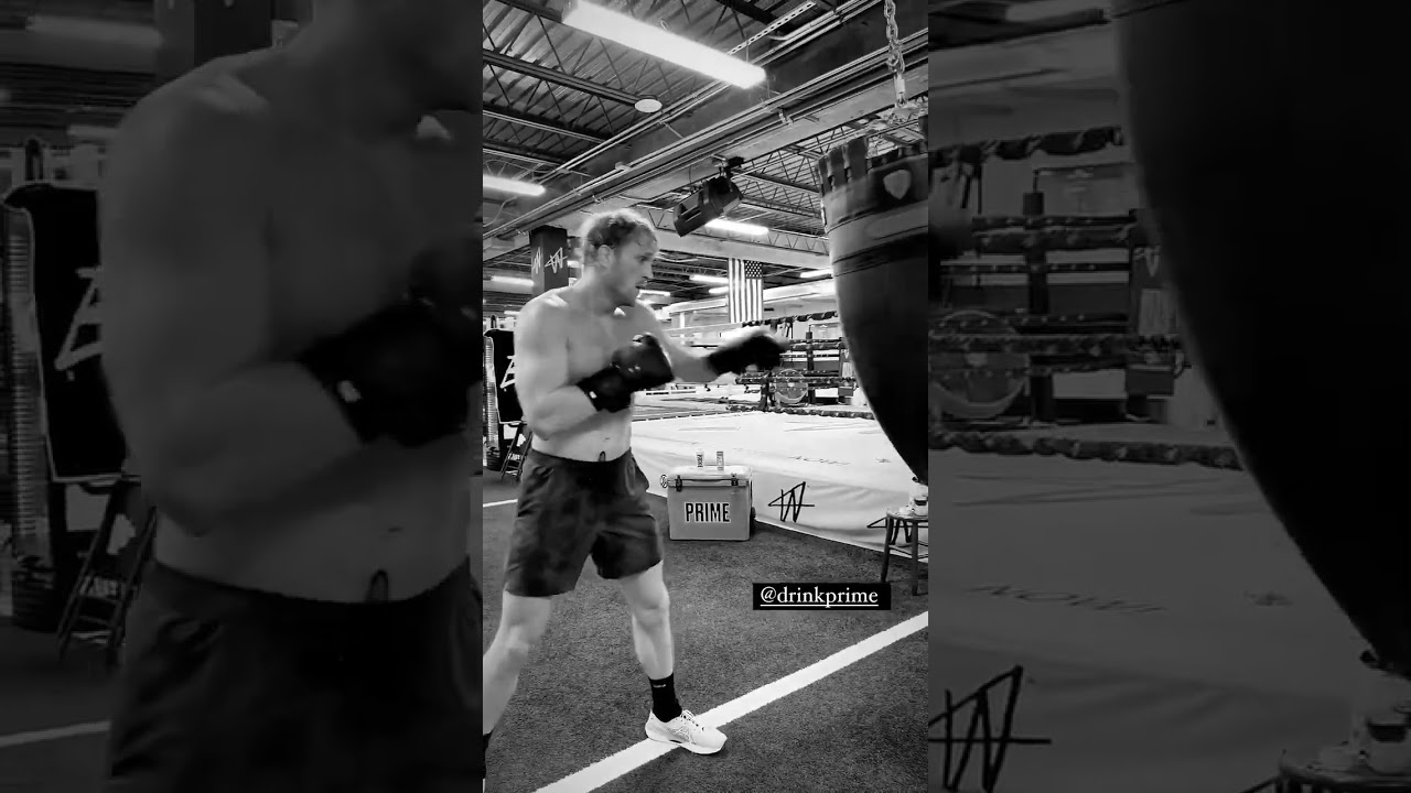 Logan Paul training at the boxing gym 🥊 #loganpaul