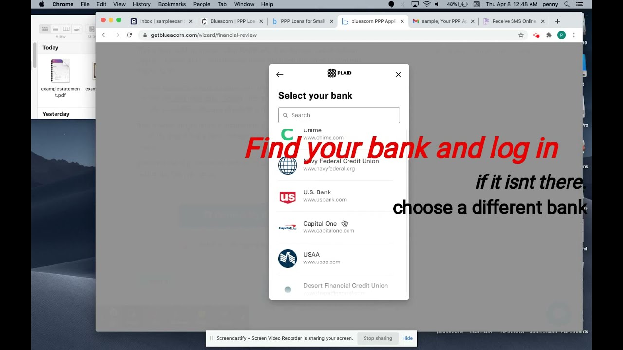 BlueAcorn PPP Application Part 2