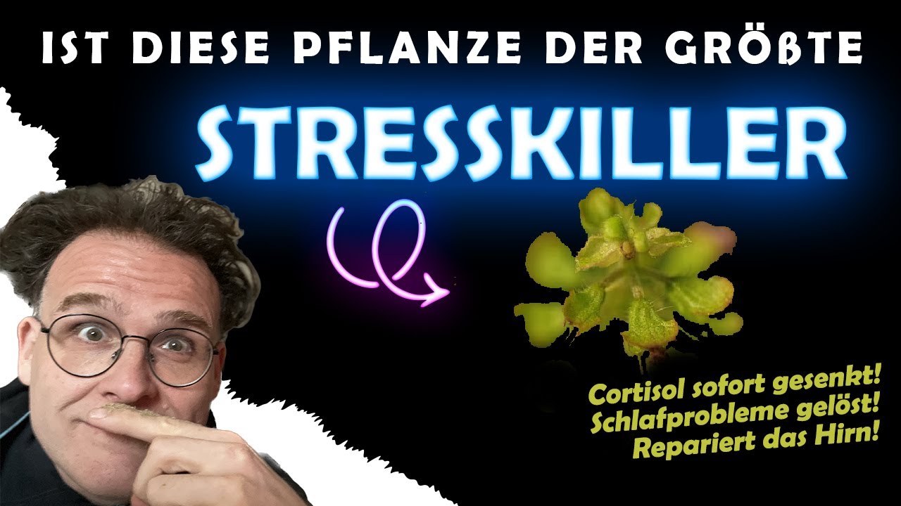 Stress messbar!!! reduziert & besserer Schlaf - Sofort 1 Kilo gekauft 🤟💖