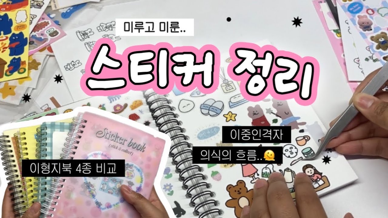 그래,,해야지,,,,🫠 이형지북에 스티커 정리하기