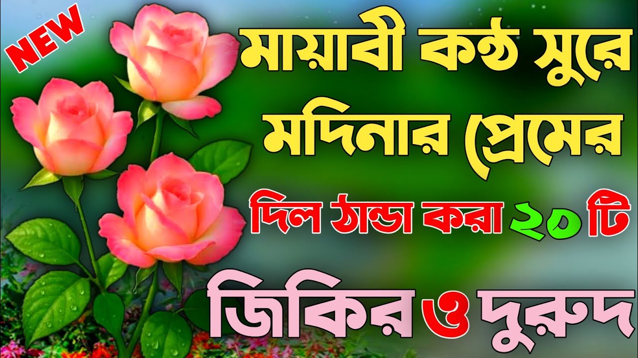 মায়াবী কন্ঠ সুরে মদিনার প্রেমের দিল ঠান্ডা করা ২০টি জিকির ও দরুদ।Viral 20 jikir durud.AH TV 07.