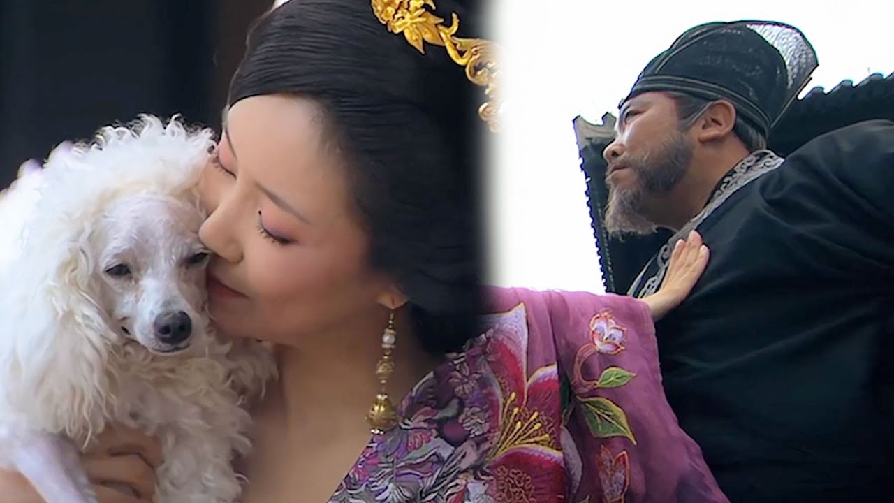 宴會上大將軍故意打死貴妃心愛的小狗，沒想到皇帝偏愛貴妃，縱容貴妃一掌打死了大將軍#chinesedrama