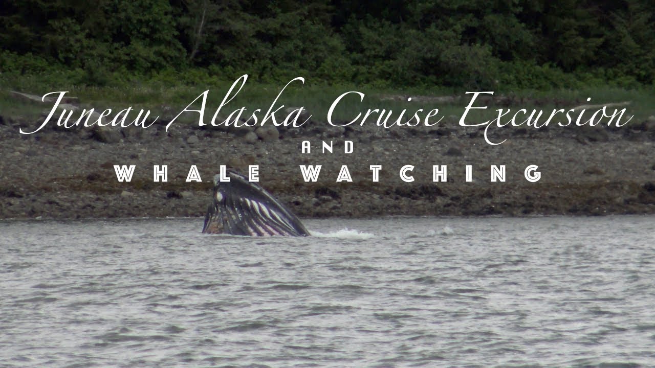 Juneau Alaska Cruise Excursion and Whale Watching - June 5, 2017