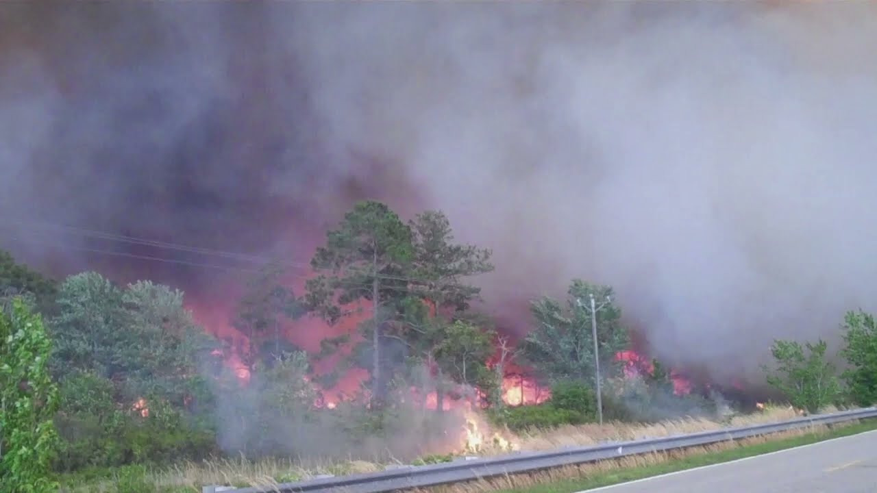 Three Days of Extreme Fire Behavior in the North Carolina Coastal Plain: 2011 Pains Bay Wildfire