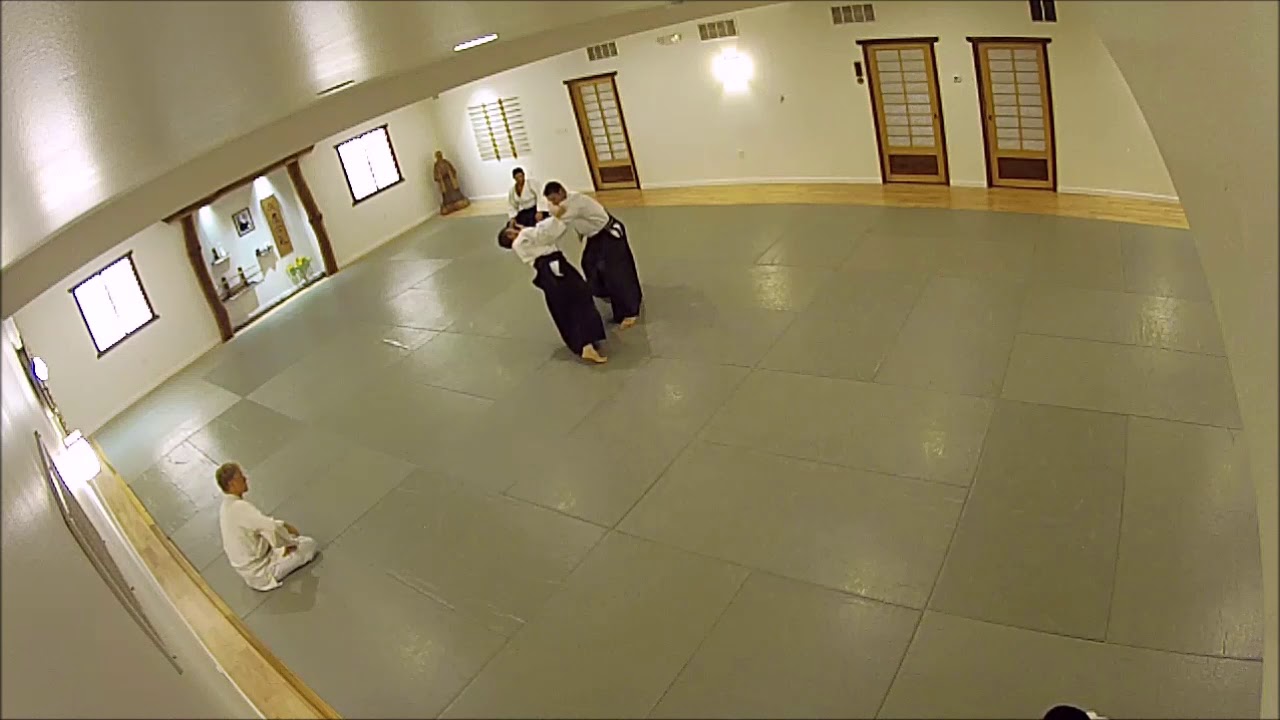 Ryokatadori Iriminage Variation