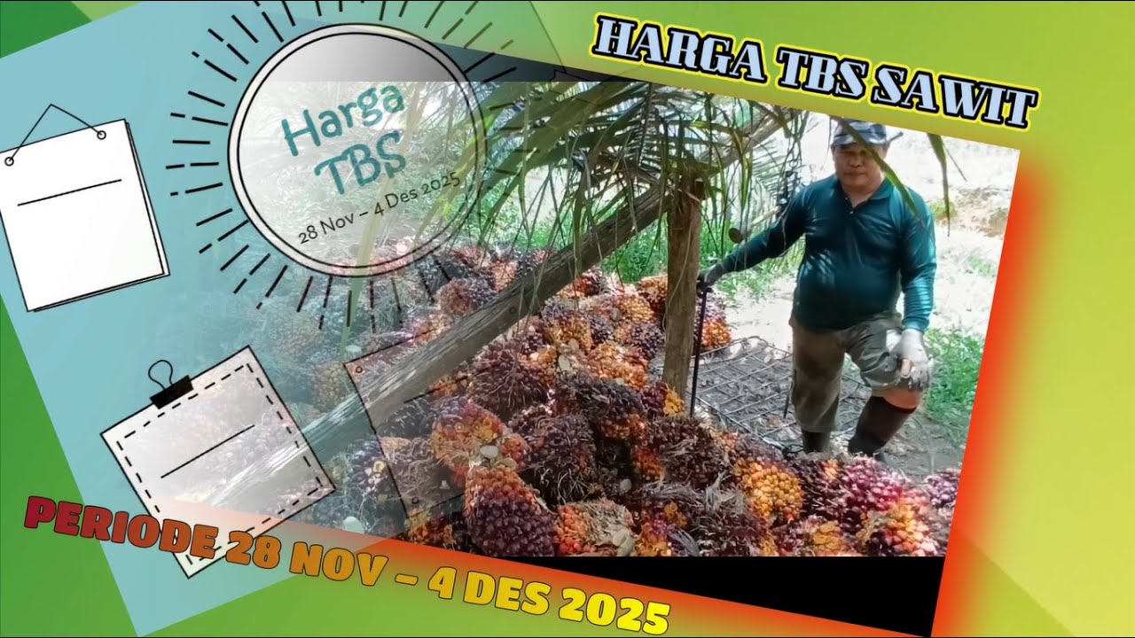 Факты о ценах на пальмовое масло в 2025 году, которые вам нужно знать