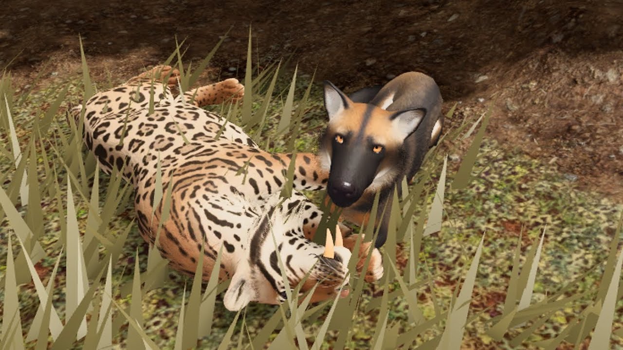 Chaotic Way to Hunt Peccaries + Wolf vs. Saber! 💥