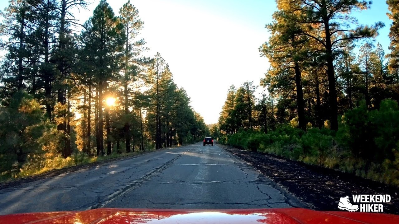 Snowbowl Road in Autumn | Golden Hour Mountain Scenic Drive
