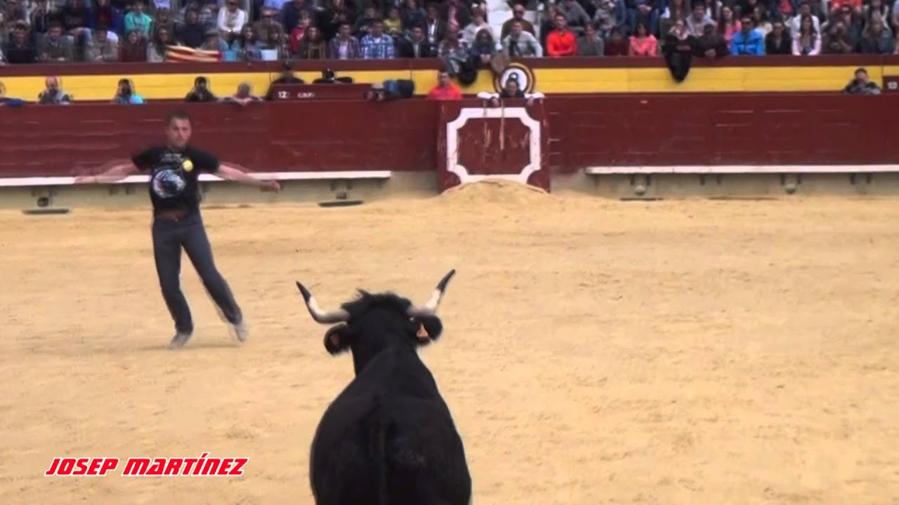 QUIEBRO DE ''MIKEA'' A LA VACA DE GERMÁN VIDAL EN CASTELLÓN