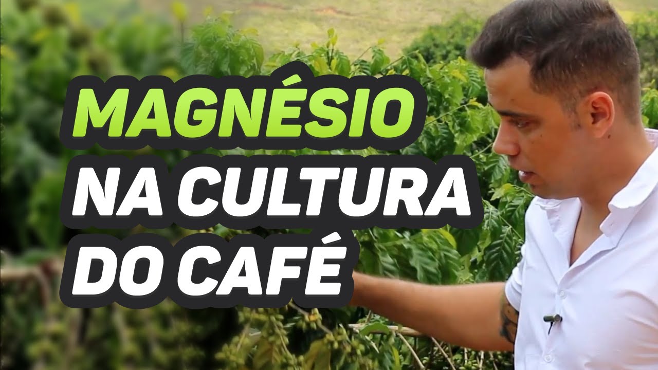 MANEJO DO MAGNÉSIO NA CULTURA DO CAFÉ