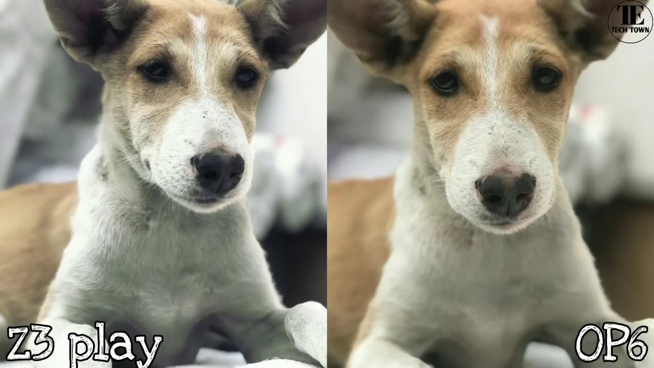 Moto Z3 Play vs OnePlus 6 Camera Test Comparison